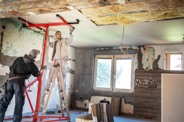 Best Cellulose Insulation  in Camp Croft, SC