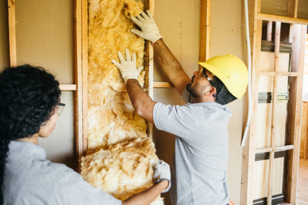 Best Insulation Replacement Services  in Camp Croft, SC