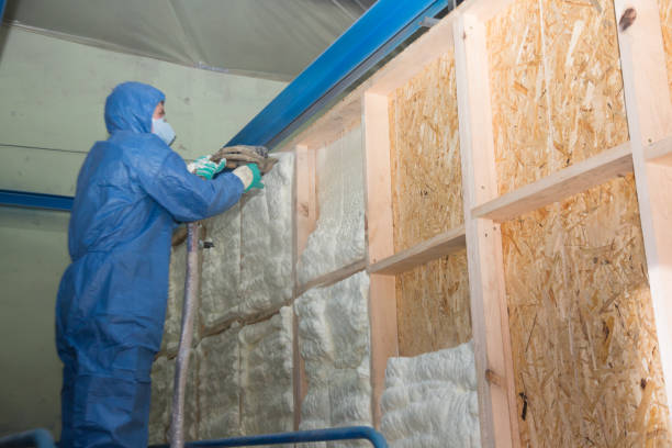 Best Soundproof Insulation Installation  in Camp Croft, SC