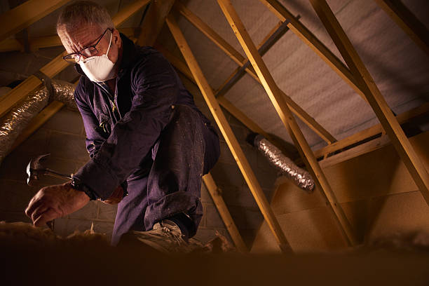 Best Affordable Insulation Services  in Camp Croft, SC