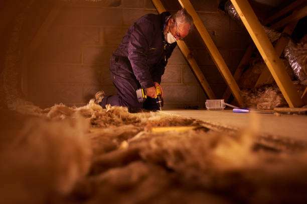 Best Professional Insulation Contractor  in Camp Croft, SC